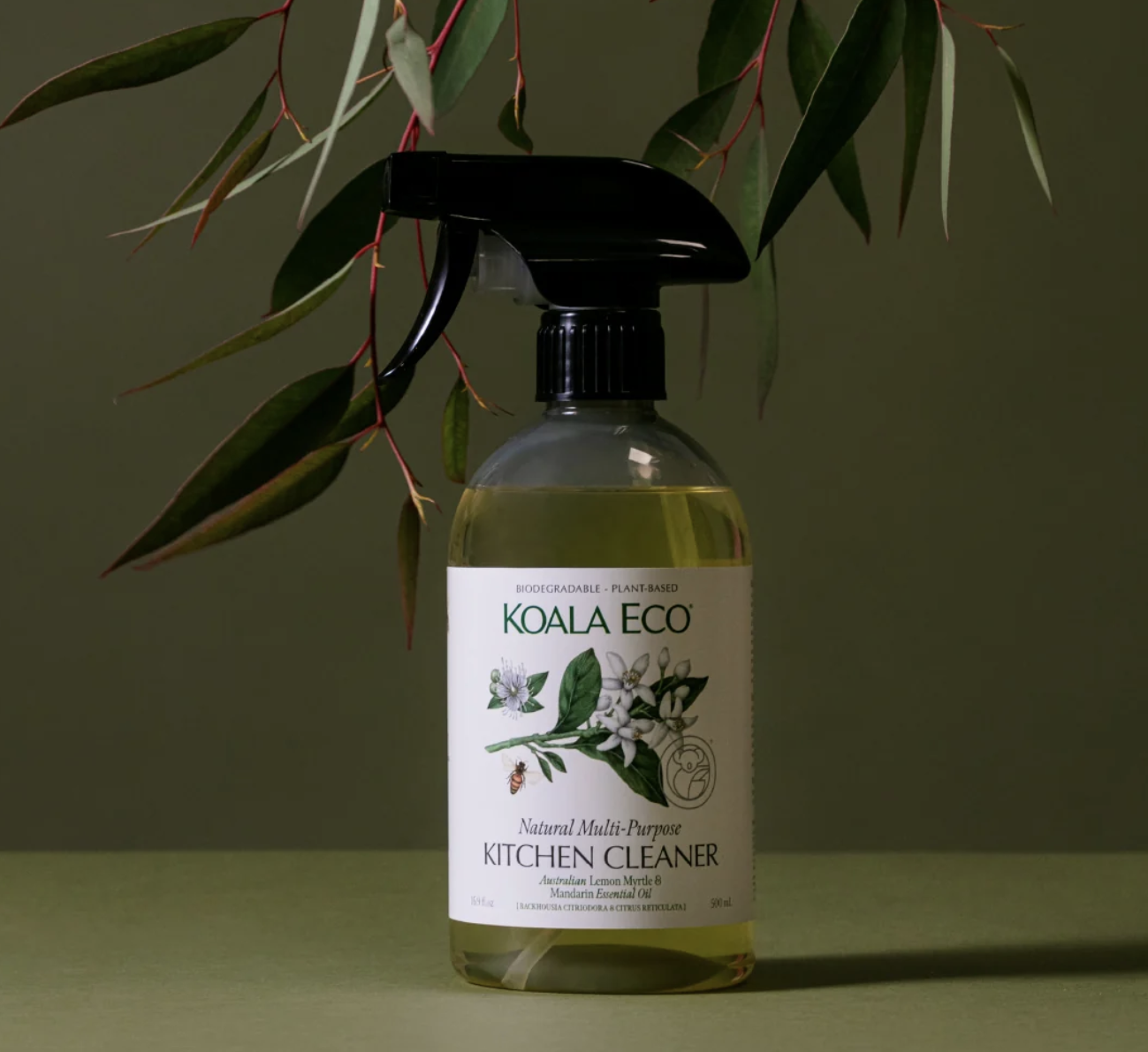 Dish Soap