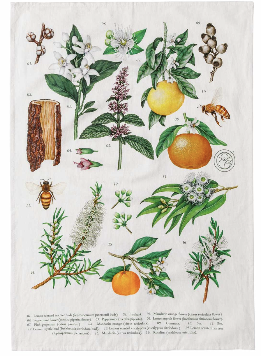 Fruit & Vege Wash